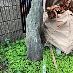 もちろん無料　玄関　庭石　青石？至急引き取り希望