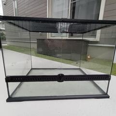レインフォレストタンク 6045