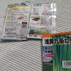 野菜種　〜ほうれん草、九条葱、ルッコラの画像