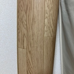 2畳用ホットカーペットとラグの画像