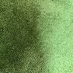 2畳用ホットカーペットとラグの画像