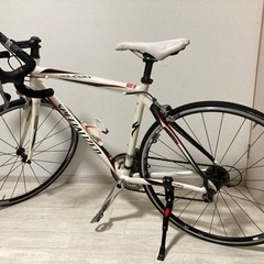 一時停止　Specialized Roubaix