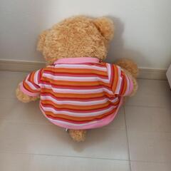 クマぬいぐるみの画像