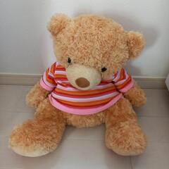クマぬいぐるみ