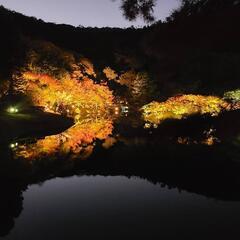 楽しい時間すごせる人いないかな？