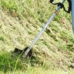 熊本県天草市栖本町で太陽光発電所の除草