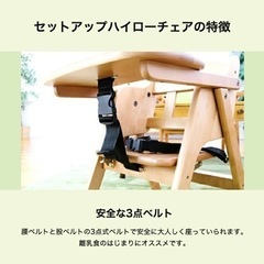 【販売終了】澤田木工所 木製おりたたみハイ•ローチェアの画像