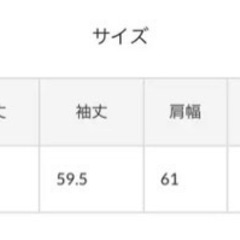 お値下げ⭐︎未開封⭐︎定価15,400円　カスタネ【WHIMSIC】US ARMY SNOW PARKA  ミントの画像