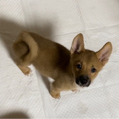 遊び上手な男の子⭐️４ヶ月