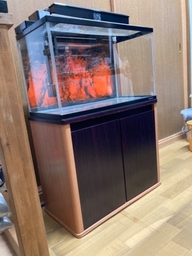 愛品館 江戸川店】karimoku カリモク レンジ台 ID:159-006593-007