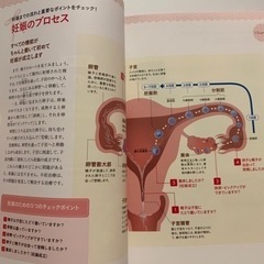 不妊治療の本の画像