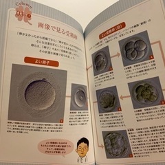 不妊治療の本の画像