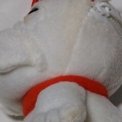 ジェームスポーチの画像