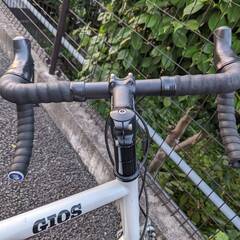 【受付終了】ミニベロ GIOS  FELUCA 2018年モデル　U字ロック付きの画像