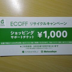 大丸　ショッピングサポートチケット　1000円分　　　11000...