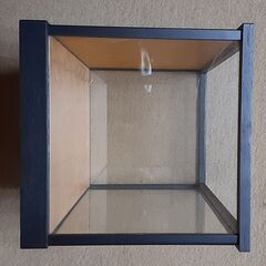 人形・美術品ケースの画像