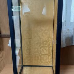 人形・美術品ケースの画像