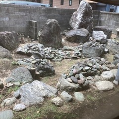 庭石差し上げます