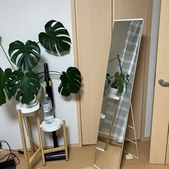 鏡　全身鏡　ミラー