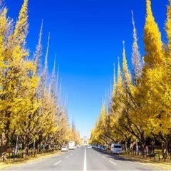 秋の紅葉🍁が見頃　近くのカフェでお菓子パーティ　11/6本日開幕
