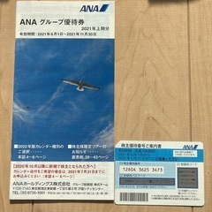 ANA株主優待　