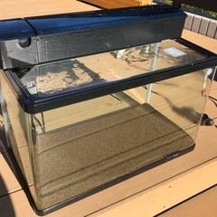 60cm水槽セット