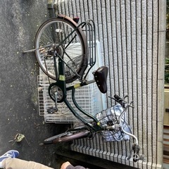 自転車と猫のケージ3段の画像