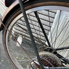 自転車と猫のケージ3段の画像