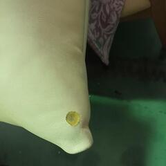 シングルソファーの画像