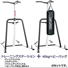 CENTURY TORRENT サンドバッグ　中古品 CENTURY TORRENT サンドバッグ 中古品 Yahoo!オークション -「century