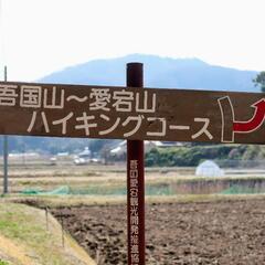 初心者の山登り仲間探してます(犬連れOK) - 友達