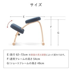 バランスチェア バランスラボ正規品 ブラウンの画像