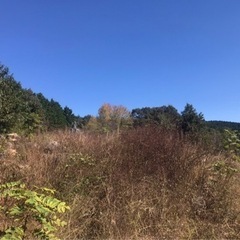 お困り事なら何でもご相談ください。
