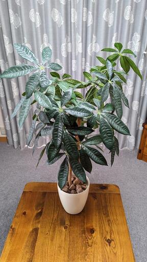 観葉植物（造花）