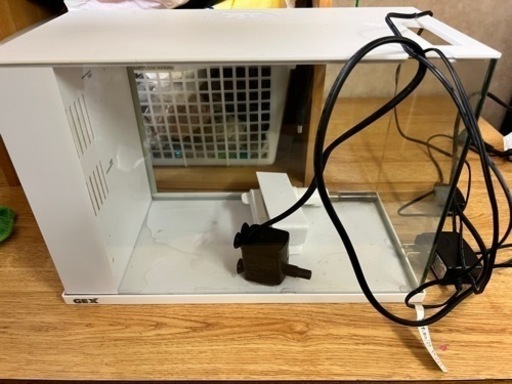 【受け渡し者決定済】ラクテリア ホワイト 水槽