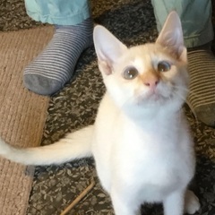 よりめが可愛い人懐っこい男の子