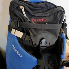 【値下げ】OSPREY オスプレー バッグ ECLIPSE42 ...