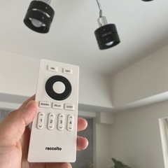 ペンダントライト（リモコン操作可能）の画像