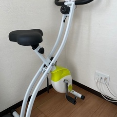 イグニオ フィットネスバイクIG-FB002LX YG エアロバイク