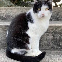 10歳超えの寂しがりや