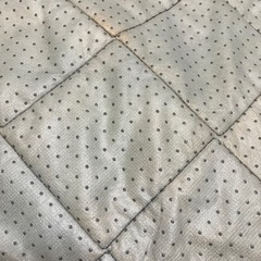 マルチカラーの画像
