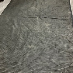 マルチカラーの画像