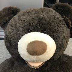 ※終了※コストコ★巨大クマ　ぬいぐるみ　１３５cmぐらい？の画像