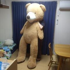 くまのぬいぐるみ　特大