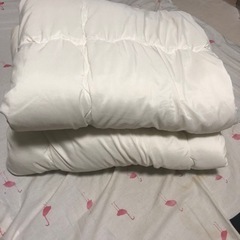 【お譲り先確定済】布団　シングル　無料の画像