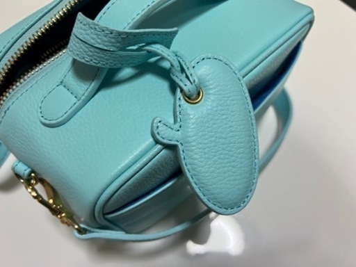 キャメレオン竹田のキャメバック　値下げ‼️