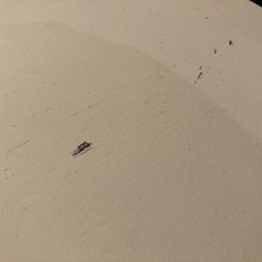 IKEA MALM チェストの画像