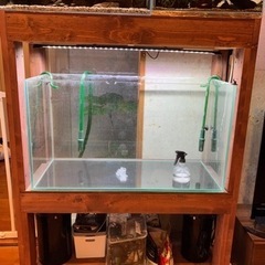 90センチ水槽、水槽台（木製）、エーハイム2基の画像