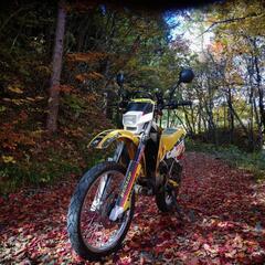 【現金値引き可】スズキ TS200R 走行9200Km 希少2ストオフローダー 消耗品関係ほぼ全交換（これだけで5万くらいかかってます） すぐ乗れます！の画像