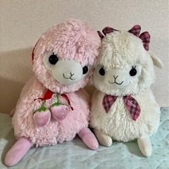 アルパカッソBIGぬいぐるみ2匹セット☆